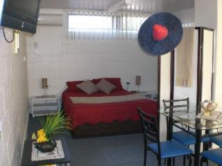 Spot 3*